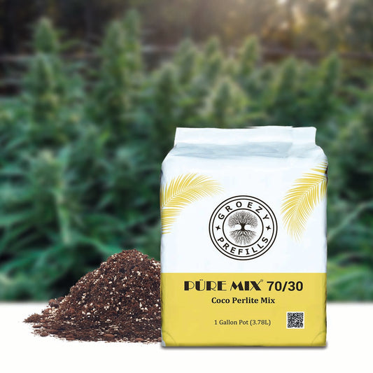 GroEzy™ 1 Gallon Prefilled 70/30 Coco Perlite Grow Bag