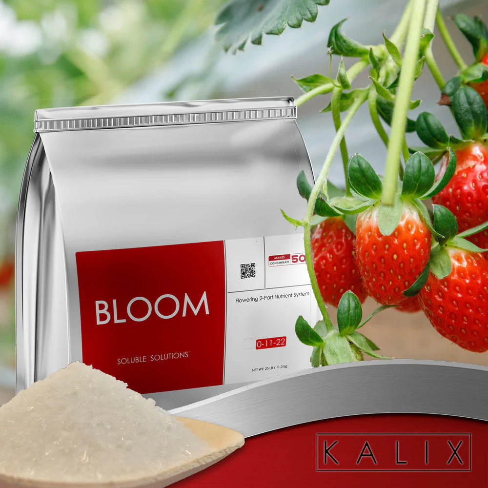 KALIX Bloom (0-11-22) | Soluble Hydroponic Flowering Nutrient