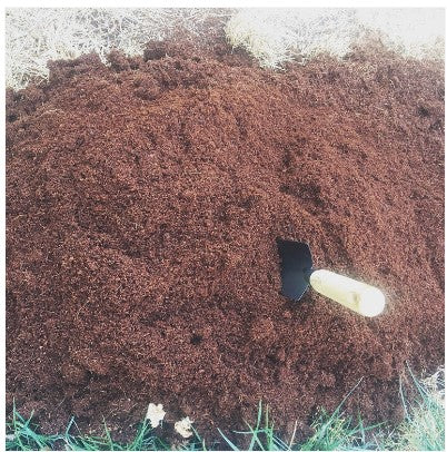 Pure Coco® Organic Coco Coir compressed 11lbs naked block