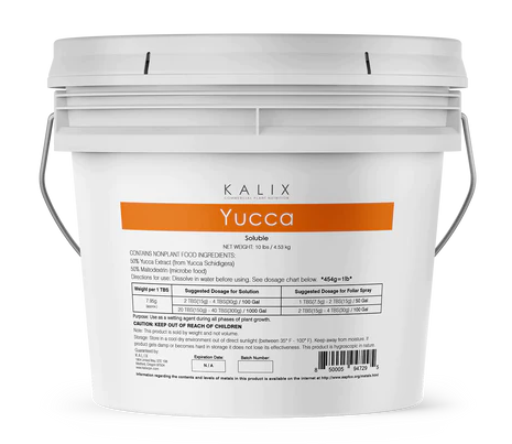 KALIX YUCCA (SOLUBLE)