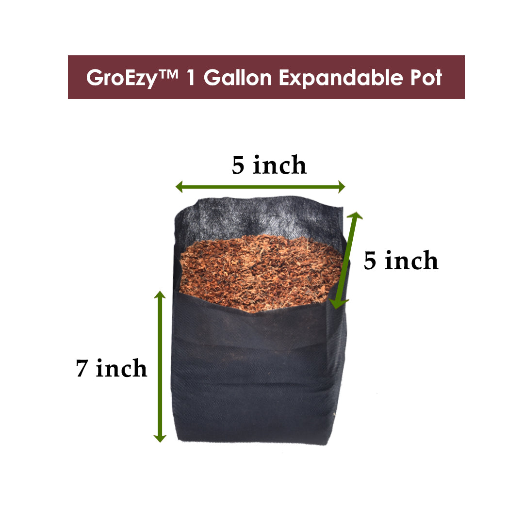 GroEzy 1 Gallon Expandable Coco Pots in Bundle Packing