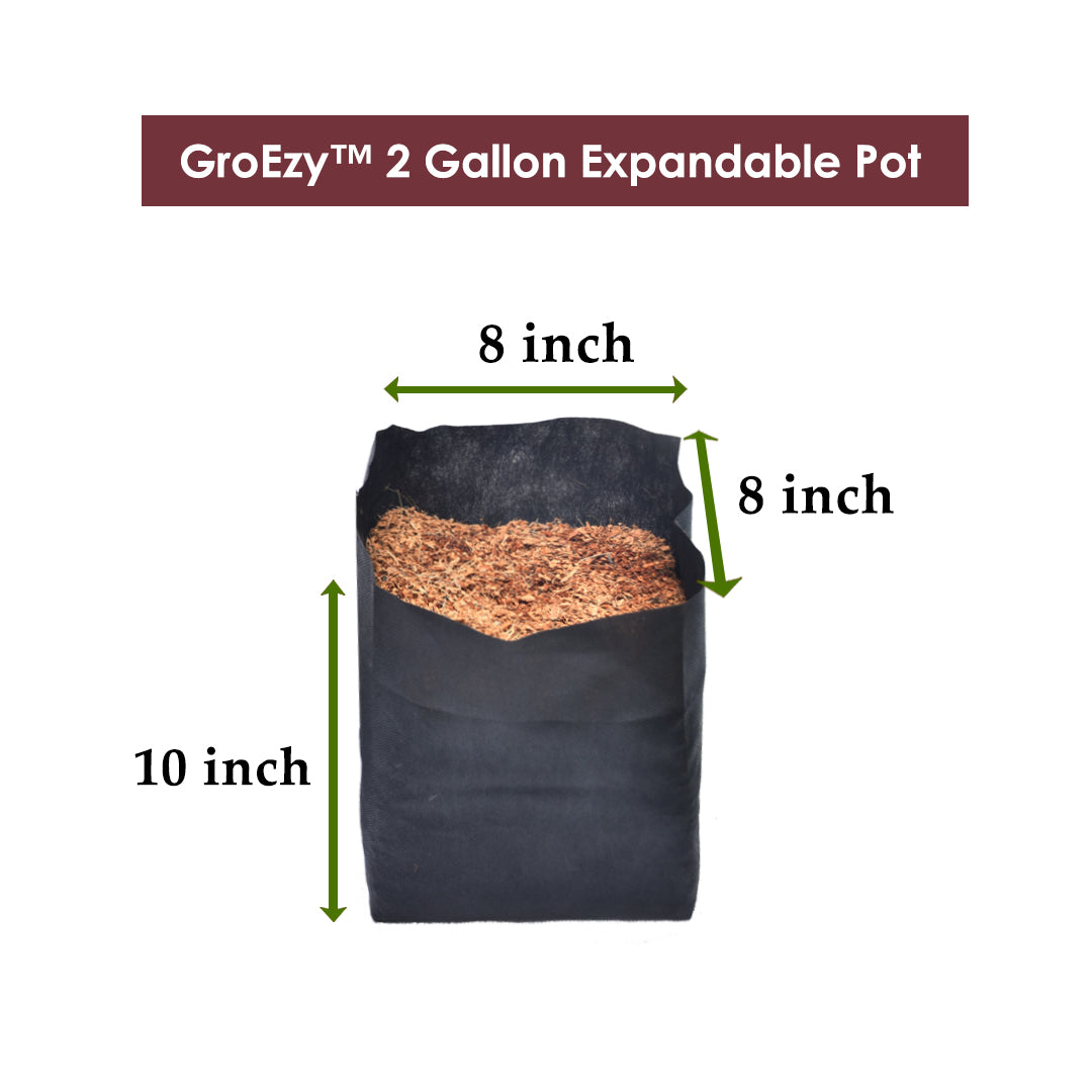 GroEzy 2 Gallon Expandable Pot