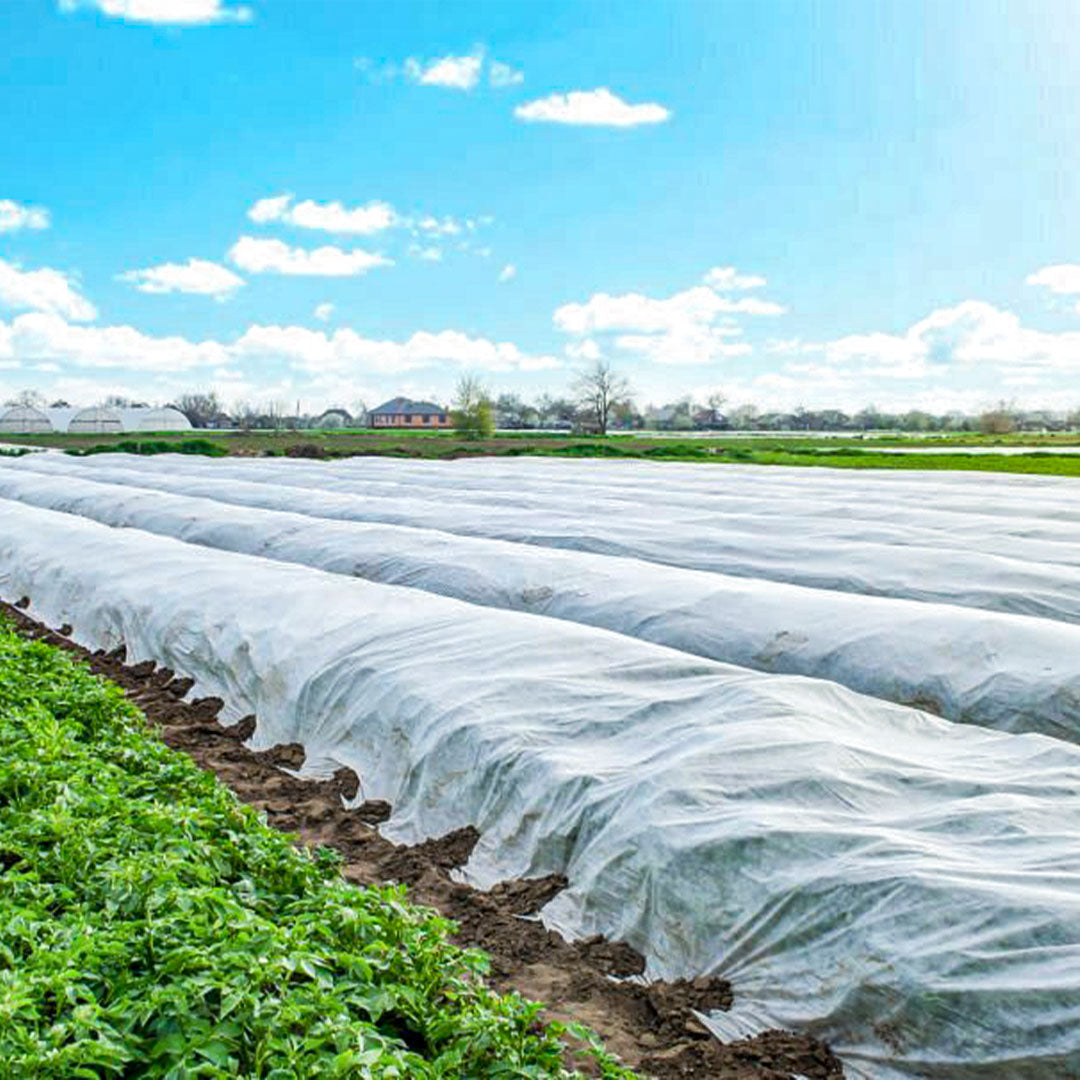 FrostWrap, Freeze and Crop Protection Plant Cover - 0.59 oz/yd2 (20 GSM) of Fabric Non-woven 10ft x 50ft Reusable Garden Floating Row Cover for vegetables, fruit, tree, plants Sun-Pest protection.