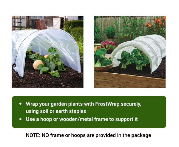 FrostWrap, Freeze and Crop Protection Plant Cover - 0.59 oz/yd2 (20 GSM) of Fabric Non-woven 10ft x 50ft Reusable Garden Floating Row Cover for vegetables, fruit, tree, plants Sun-Pest protection.