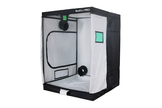 BUDBOX PRO XL PLUS