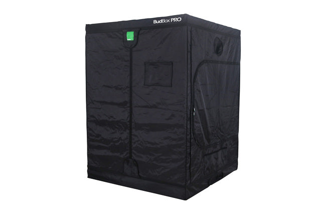 BUDBOX PRO XL PLUS