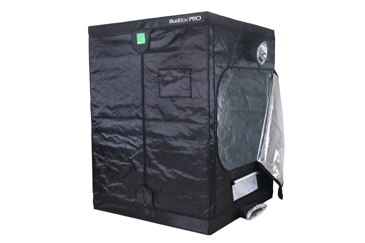BUDBOX PRO XL PLUS