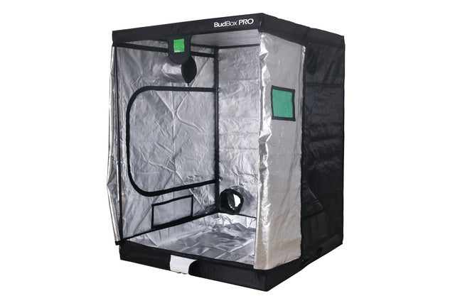 BUDBOX PRO XL PLUS