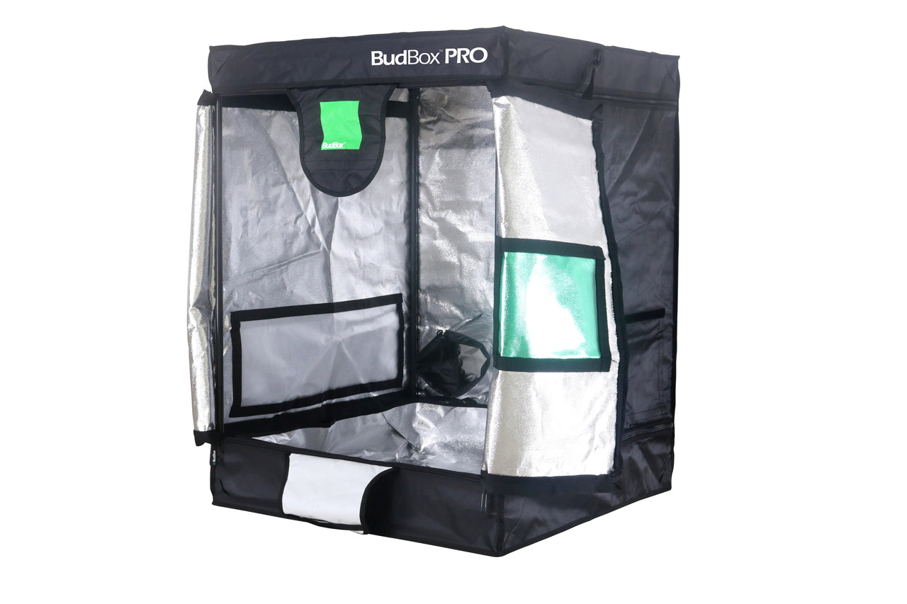 BUDBOX PRO SMALL