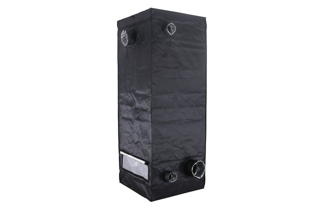 BUDBOX PRO MEDIUM PLUS