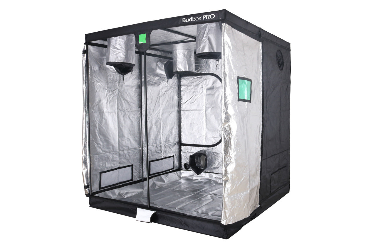 BUDBOX PRO TITAN 1-HL - 6'6''x6'6''x7'3''(200x200X220cm)