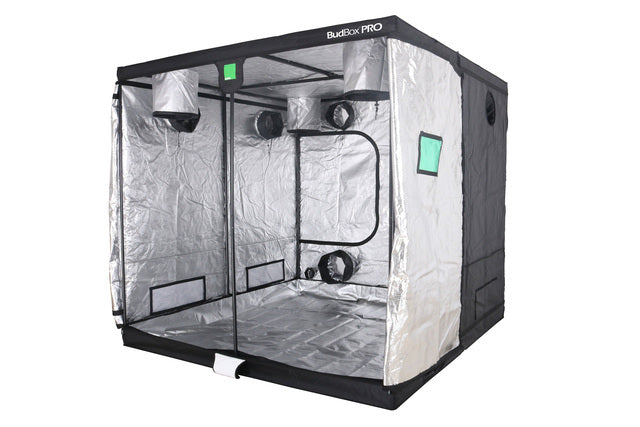 BUDBOX PRO TITAN 1 PLUS-HL- 8'x8'x7'3'' (240x240x220cm)