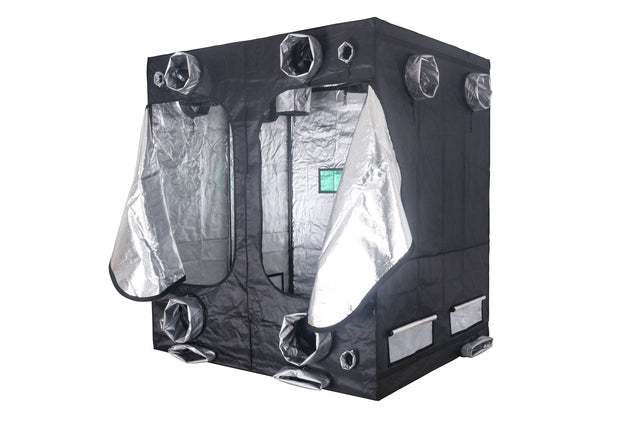 BUDBOX PRO GT-2