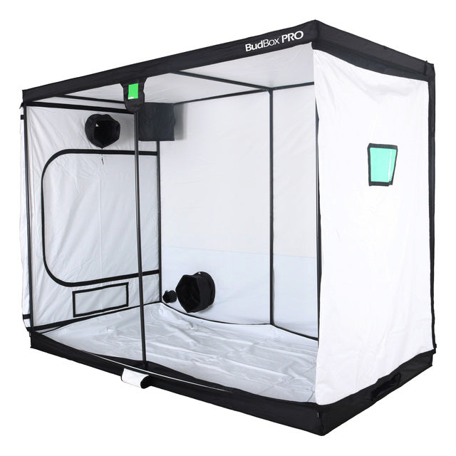 BUDBOX PRO XXL PLUS-HL
