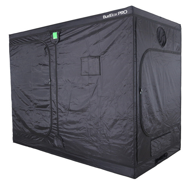 BUDBOX PRO XXL PLUS-HL