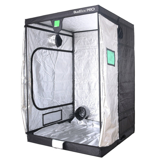 BUDBOX PRO XL PLUS-HL