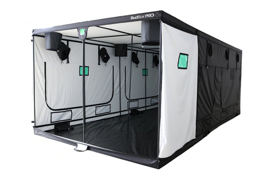 BUDBOX PRO TITAN 6 - 20'x10'x7'3''(600X300X220)