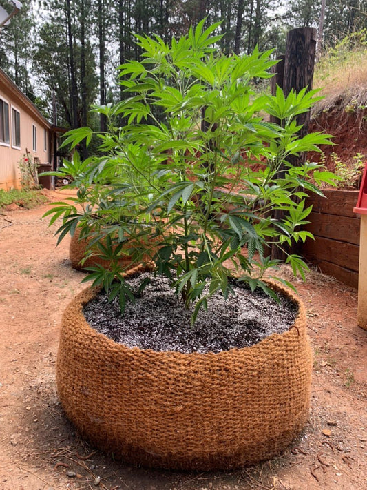 CoirNet  500 Gallon pot (5 Pot bundle)