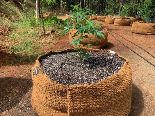 CoirNet 65 Gallon Coir Pot (5 Pot bundle)