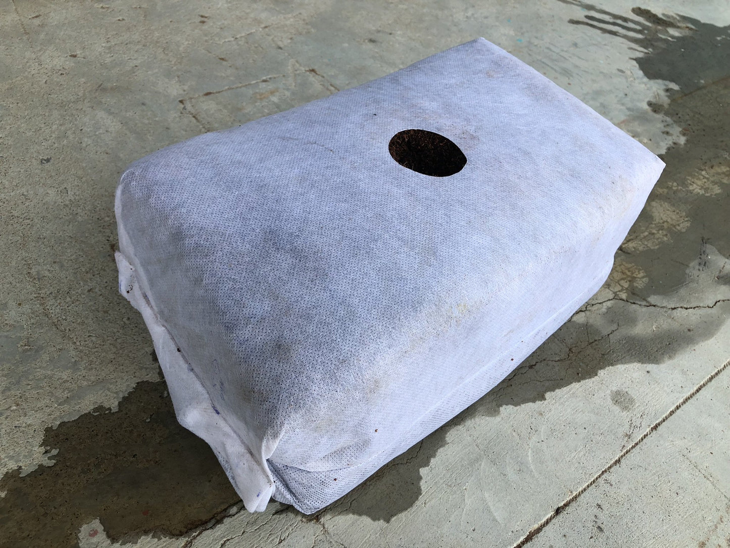 GroEzy 12" mini Slab