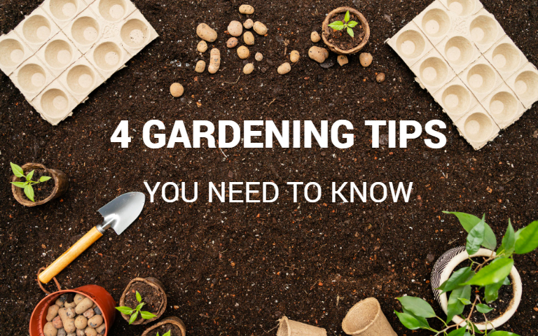 Gardening for Beginners: Four Essential Tips and Strategies