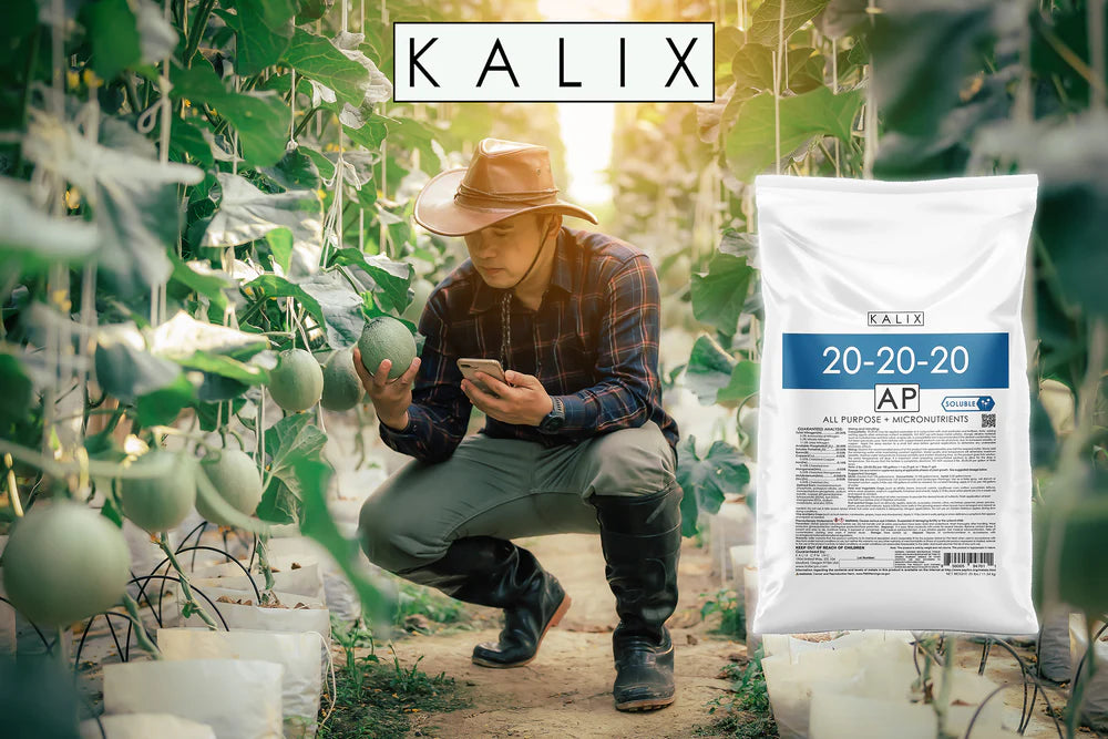 KALIX 20-20-20 Water-Soluble Plant Food – Balanced All-Purpose Fertilizer for Indoor & Outdoor Use