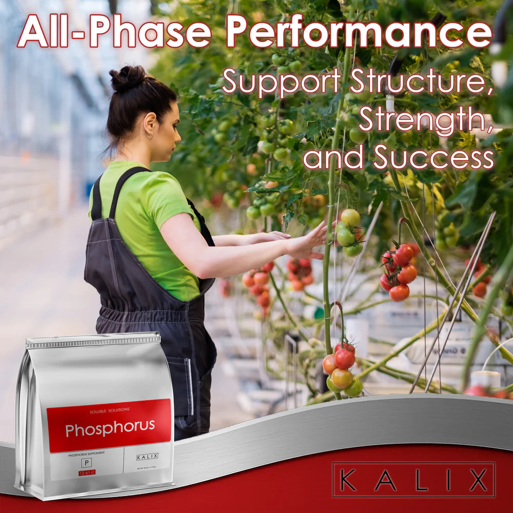 KALIX Phosphorus Fertilizer – Water Soluble Phosphorus for Hydroponic and Fertigation Systems