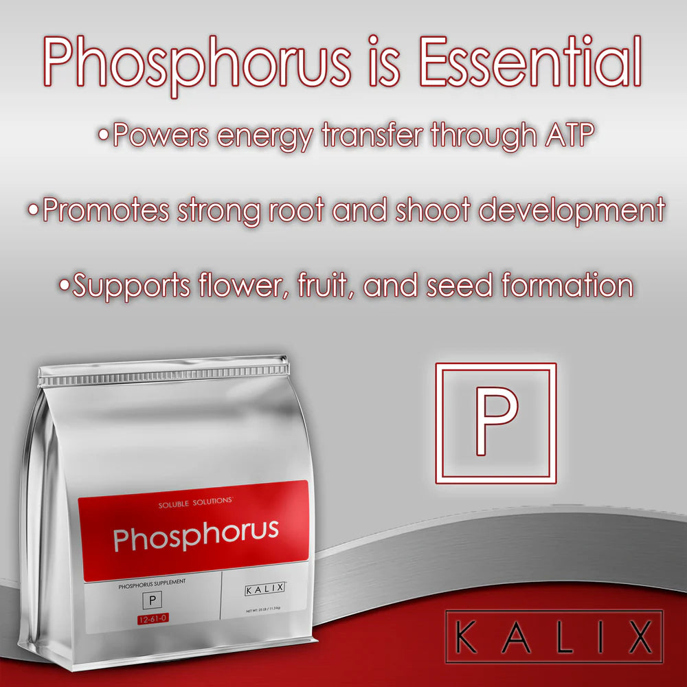 KALIX Phosphorus Fertilizer – Water Soluble Phosphorus for Hydroponic and Fertigation Systems