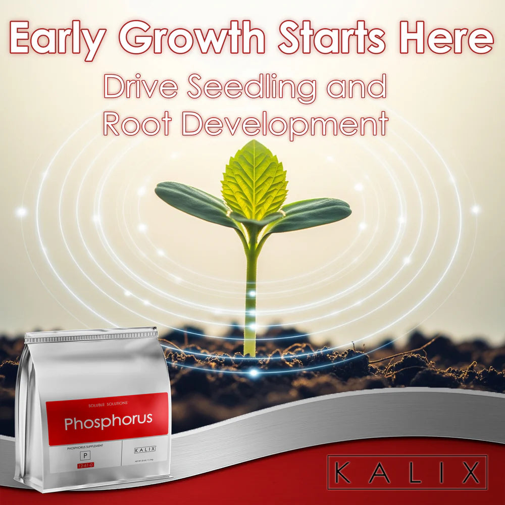 KALIX Phosphorus Fertilizer – Water Soluble Phosphorus for Hydroponic and Fertigation Systems