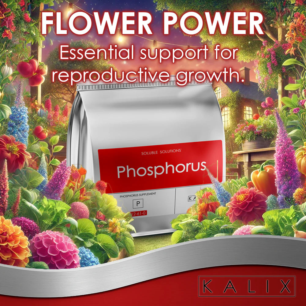 KALIX Phosphorus Fertilizer – Water Soluble Phosphorus for Hydroponic and Fertigation Systems