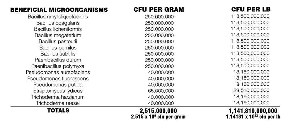 KALIX Microbes Maintain (Soluble)