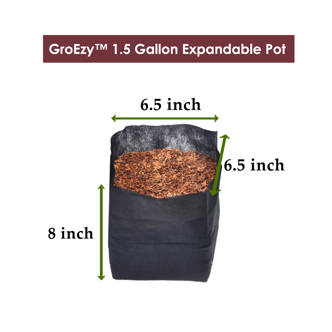 GroEzy 1.5 Gallon Expandable Pot