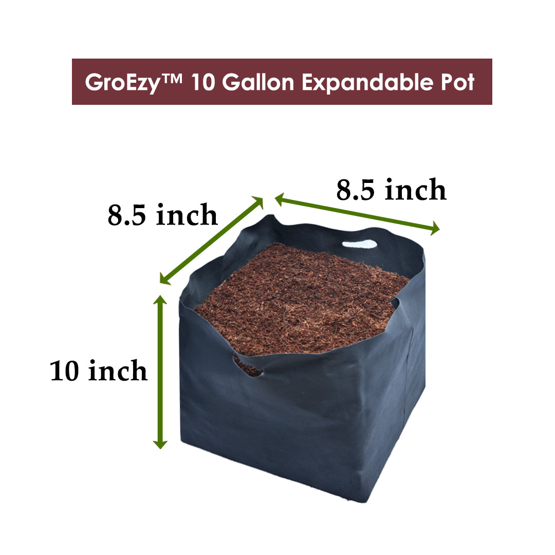 GroEzy 10 Gallon Expandable Pots in Bundle Packing