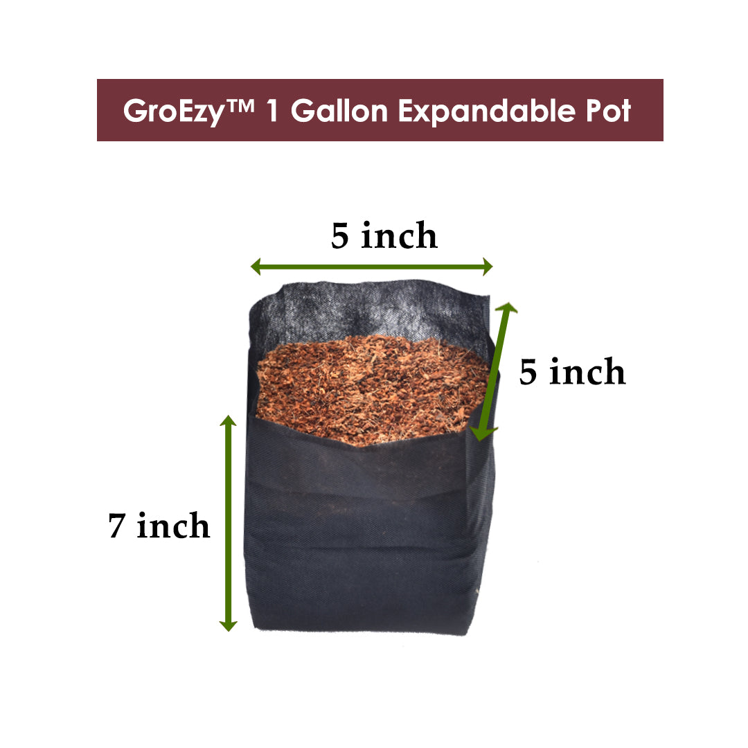 GroEzy 1 Gallon Expandable Coco Pot