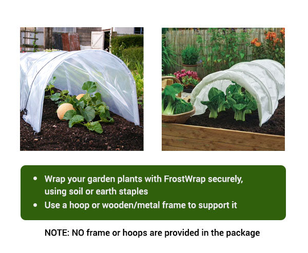 FrostWrap, Freeze and Crop Protection Plant Cover - 0.88oz/yd2 (30 GSM) of Fabric Non-woven 10ft x 50ft Reusable Garden Floating Row Cover for vegetables, fruit, tree, plants Sun-Pest protection.