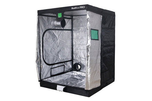 BUDBOX PRO XL PLUS