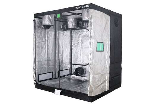 BUDBOX PRO GT-2